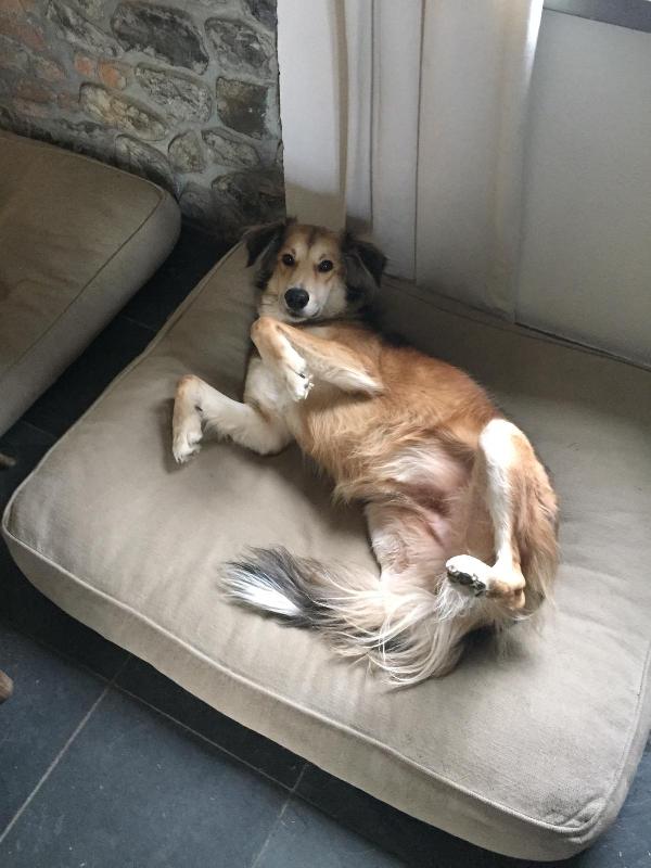✨ Maggie, la forza di chi ha conosciuto il dolore ma sogna solo amore ✨ Foto 9